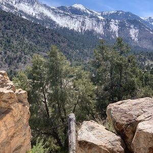 Meet your Posher, Al